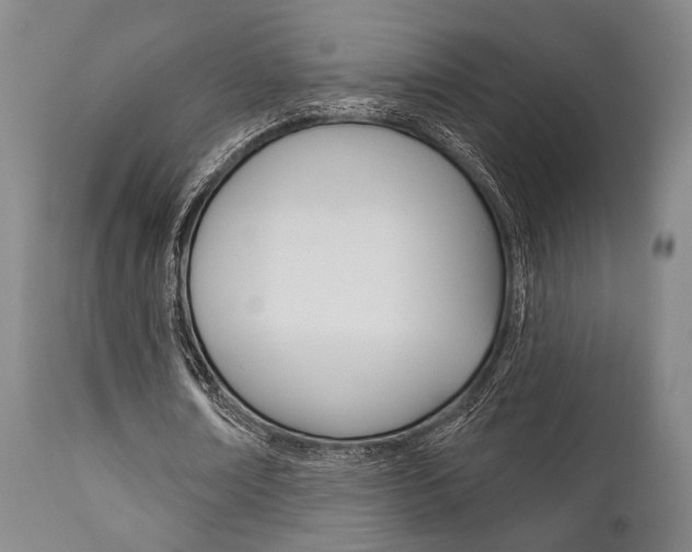 X0000111820674200907231025