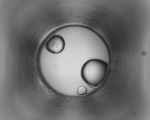 X0000111820676200907231025