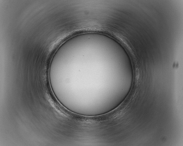 X0000111820677200907231025