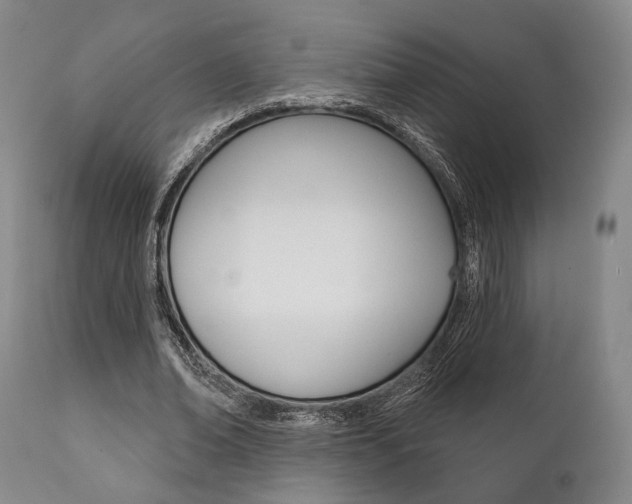 X0000111820678200907231025