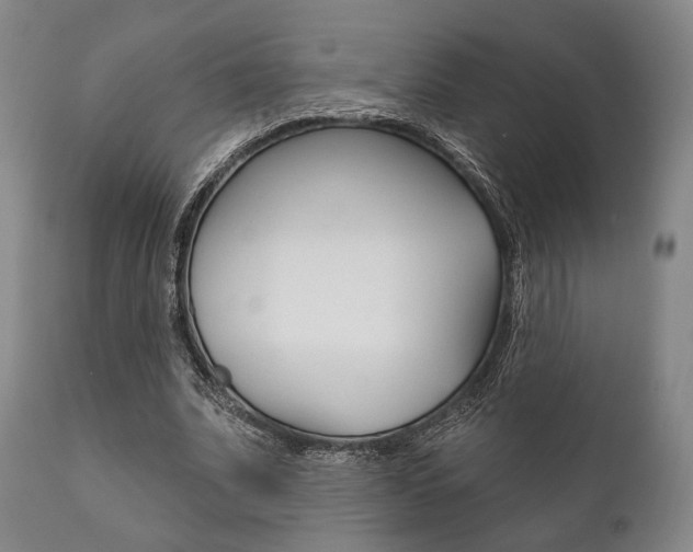 X0000111820679200907231025