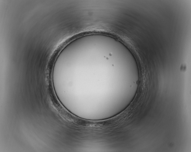 X0000111820680200907231025