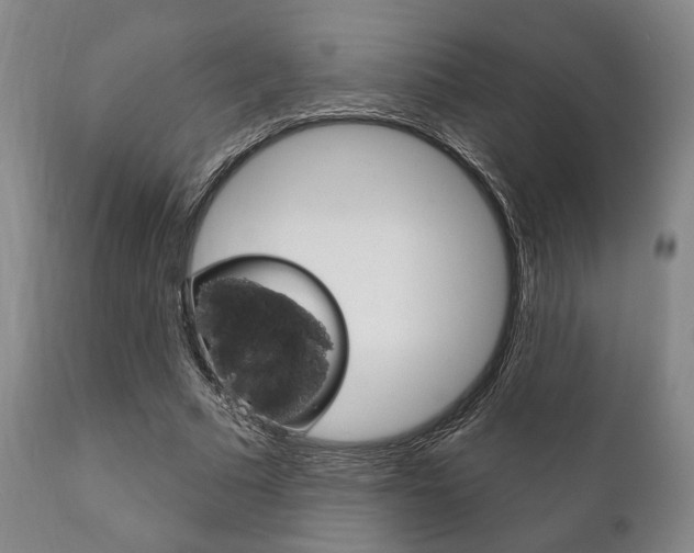 X0000111820681200907231025