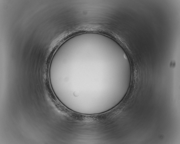 X0000111820682200907231025