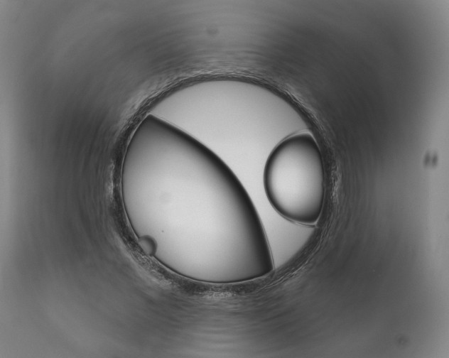 X0000111820685200907231025
