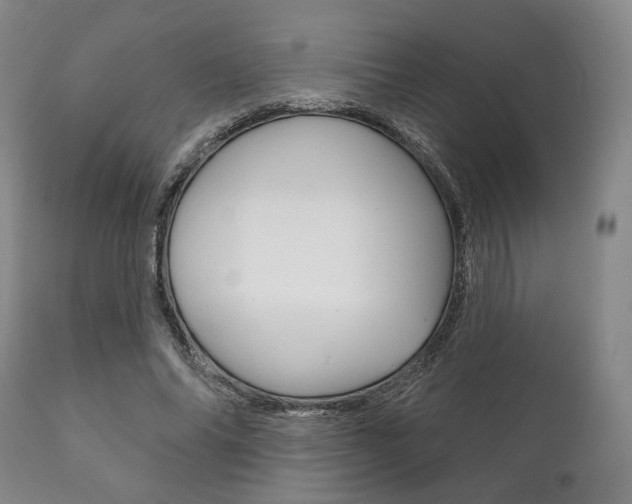 X0000111820686200907231025