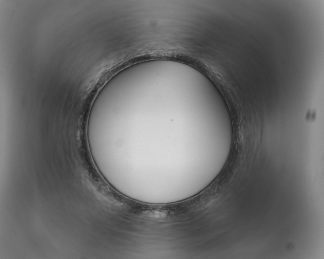 X0000111820687200907231025