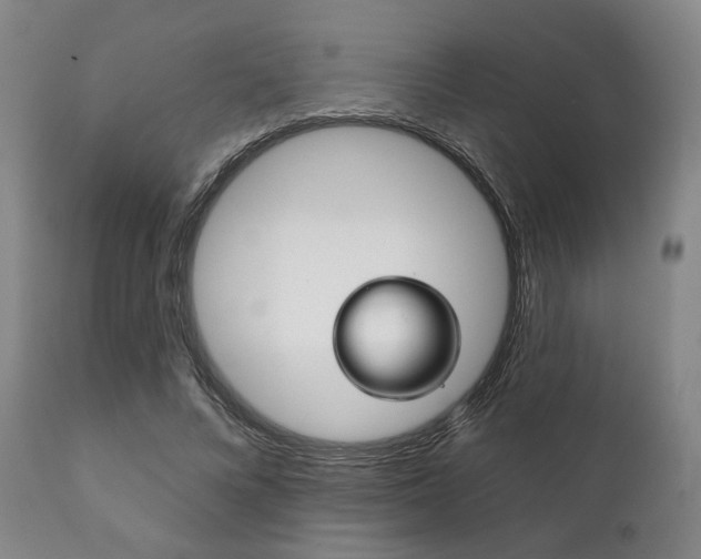 X0000111820688200907231025