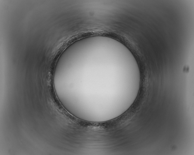X0000111820689200907231025