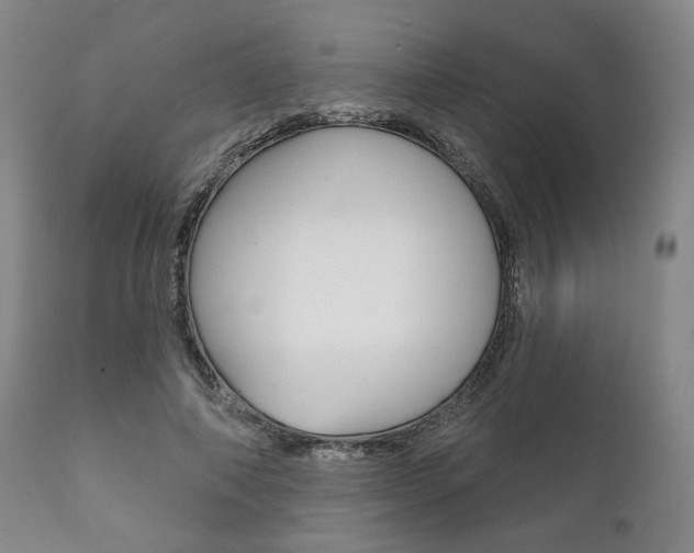 X0000111820690200907231025