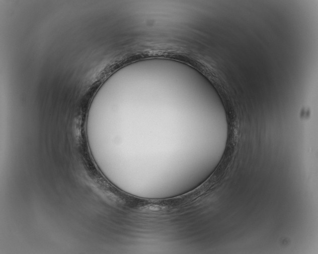 X0000111820691200907231025