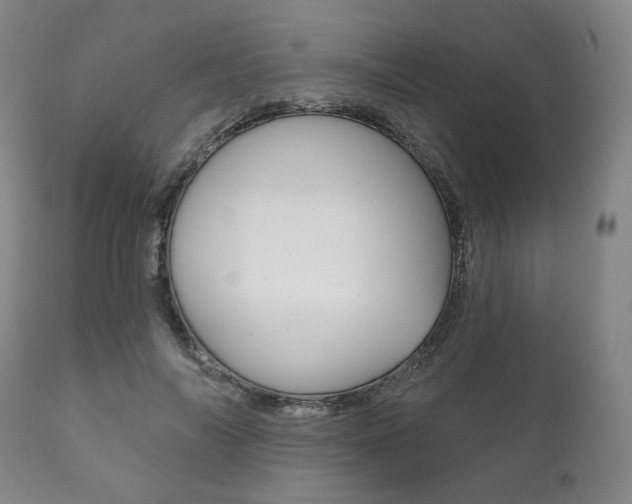 X0000111820694200907231025