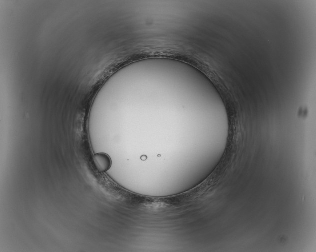 X0000111820695200907231024
