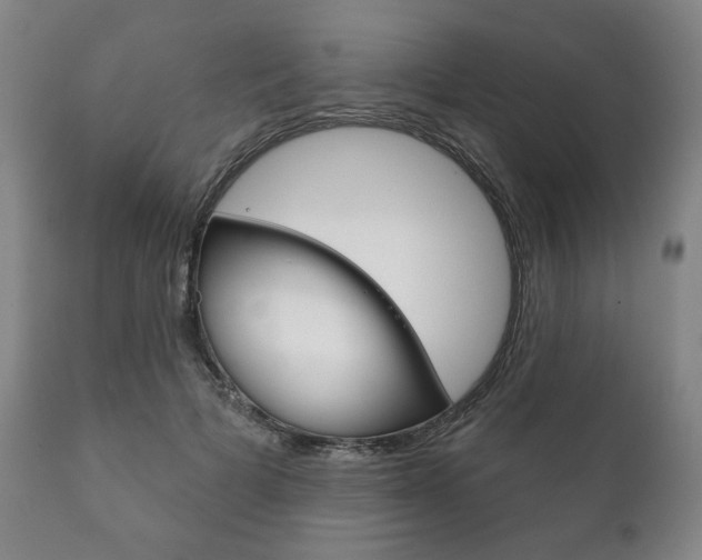 X0000111820697200907231024