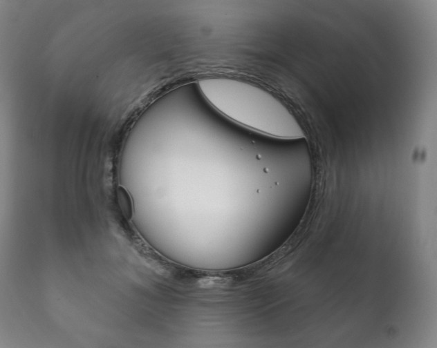 X0000111820700200907231024