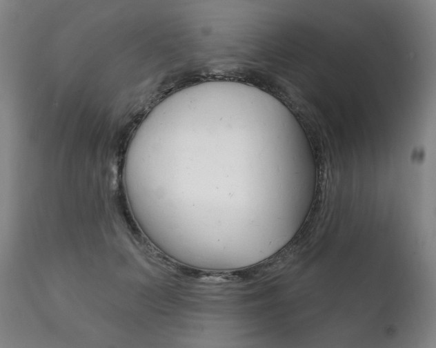 X0000111820703200907231024