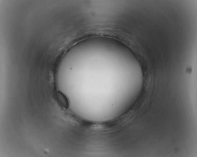 X0000111820704200907231024