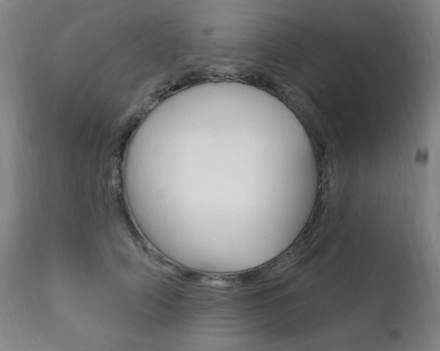 X0000111820706200907231024