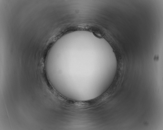 X0000111820707200907231024