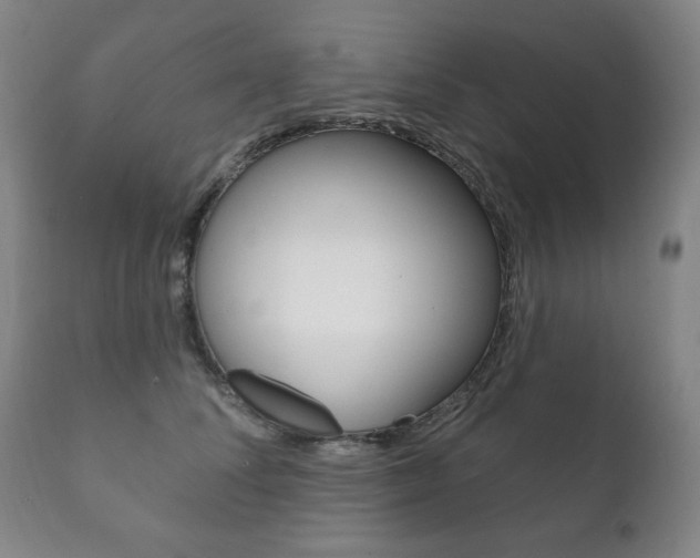 X0000111820708200907231024