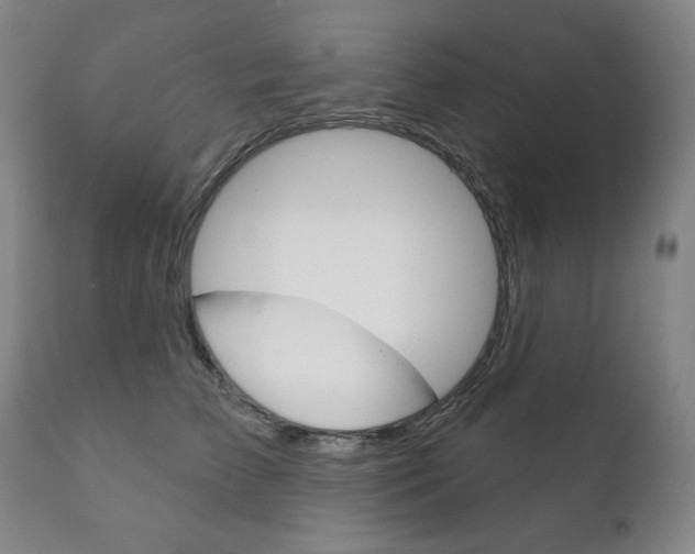 X0000111820709200907231024