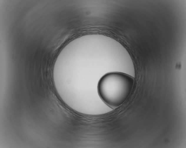 X0000111820712200907231024