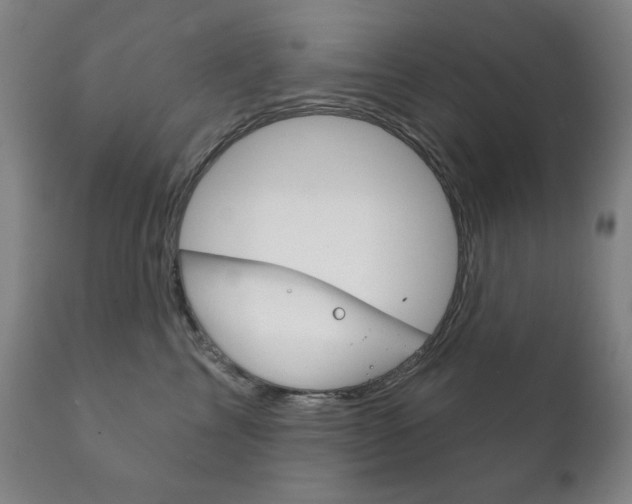 X0000111820713200907231024