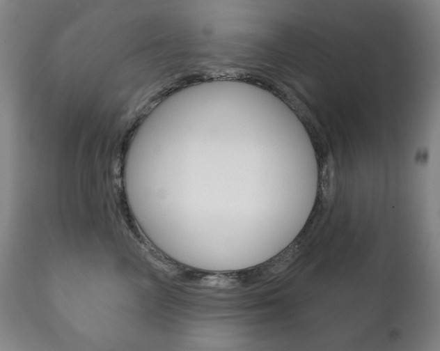 X0000111820714200907231024