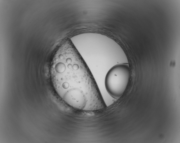X0000111820715200907231024