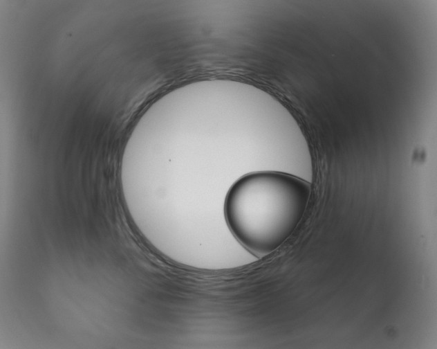 X0000111820716200907231024
