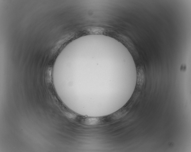 X0000111820717200907231024