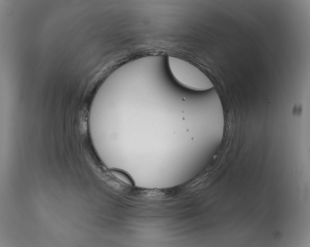 X0000111820719200907231024