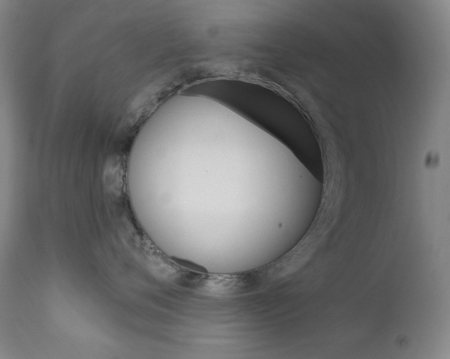 X0000111820720200907231024