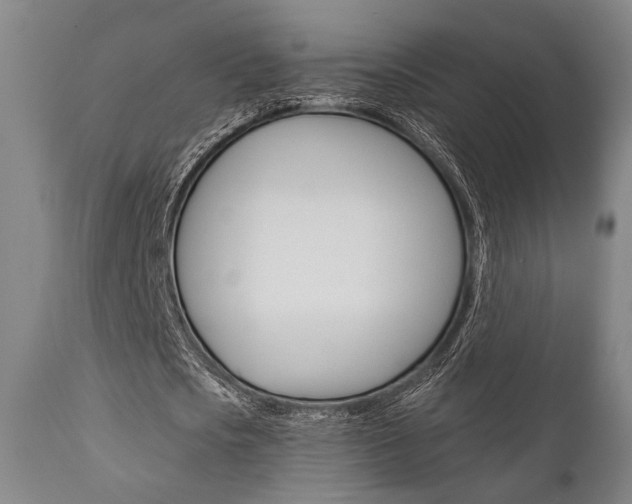 X0000111820721200907231023