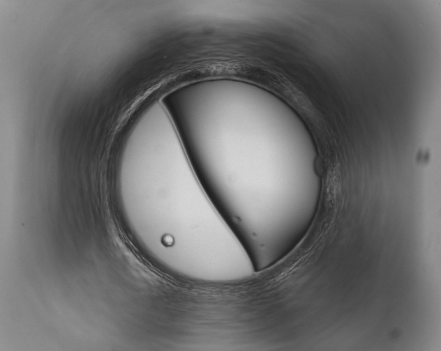 X0000111820722200907231023