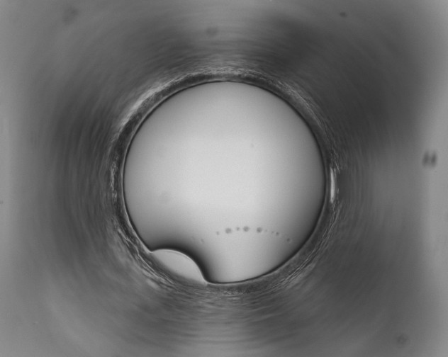 X0000111820723200907231024