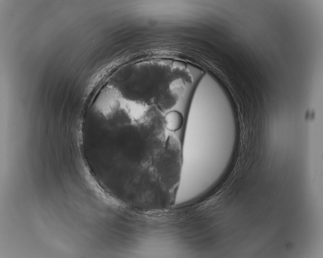 X0000111820725200907231024