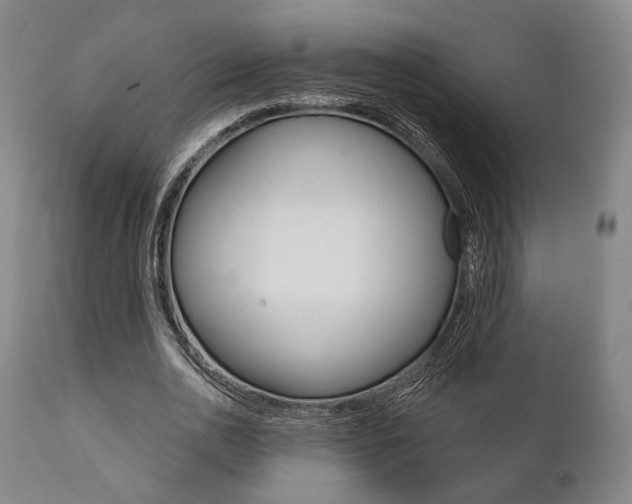 X0000111820726200907231024