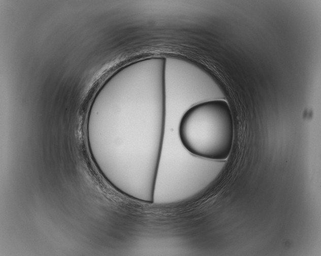 X0000111820727200907231024