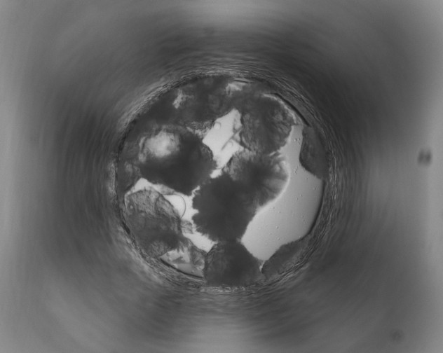 X0000111820729200907231024