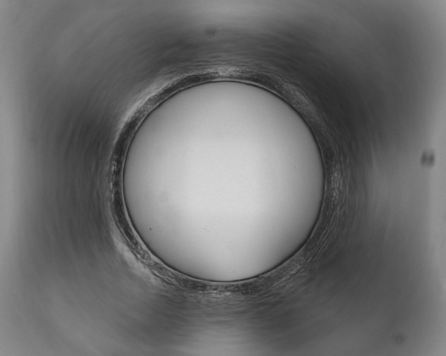 X0000111820730200907231024