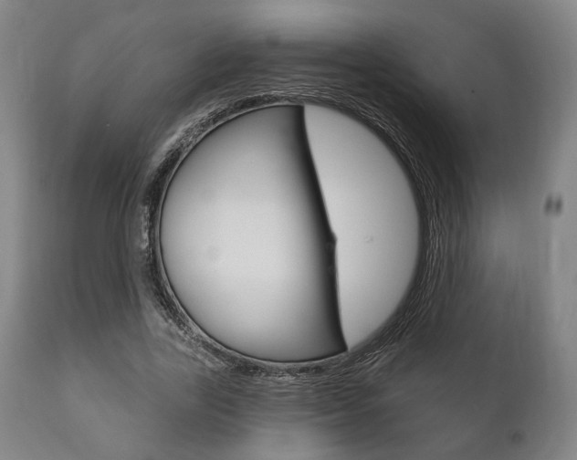 X0000111820731200907231024