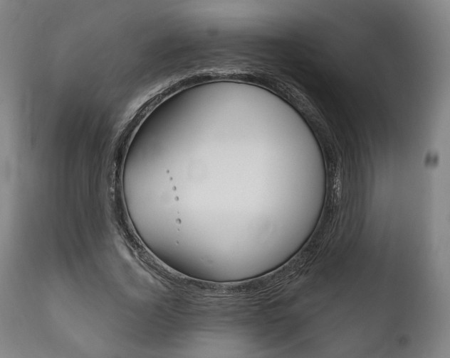 X0000111820732200907231024