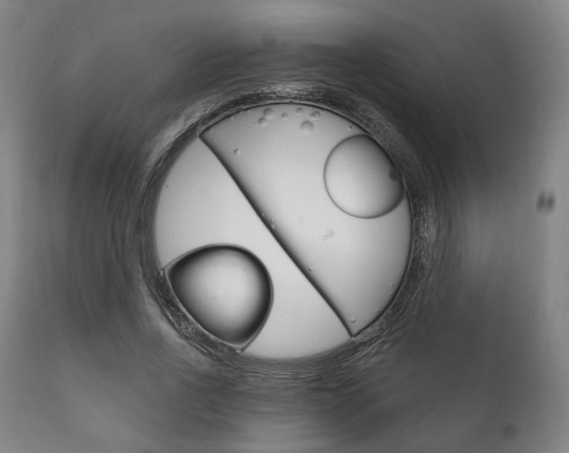 X0000111820734200907231024