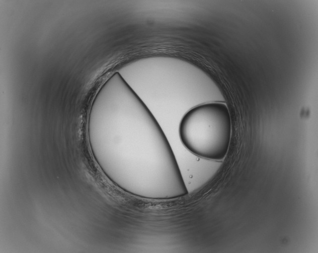 X0000111820735200907231024