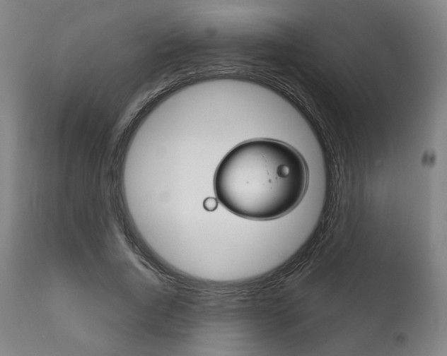 X0000111820736200907231024