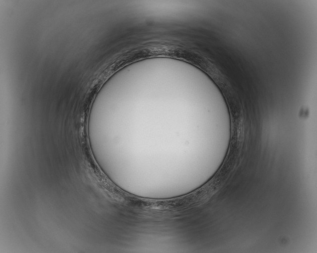X0000111820737200907231024