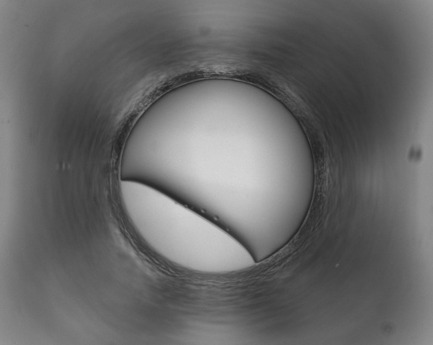 X0000111820738200907231024