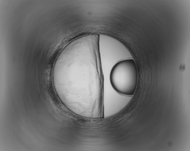 X0000111820739200907231024