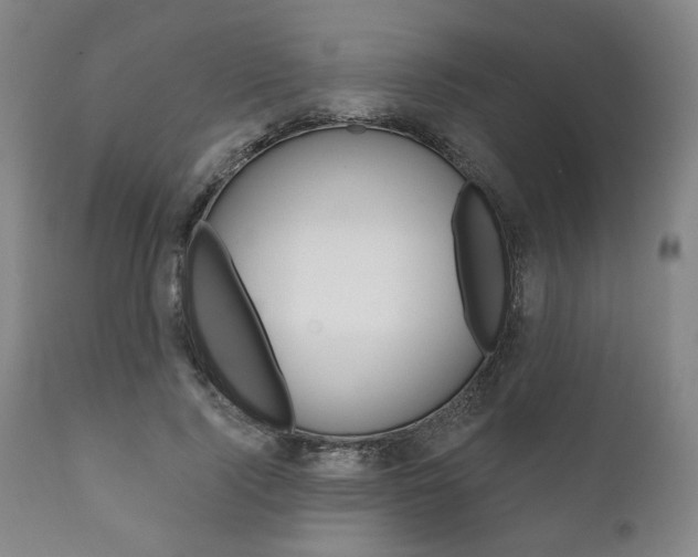 X0000111820740200907231024